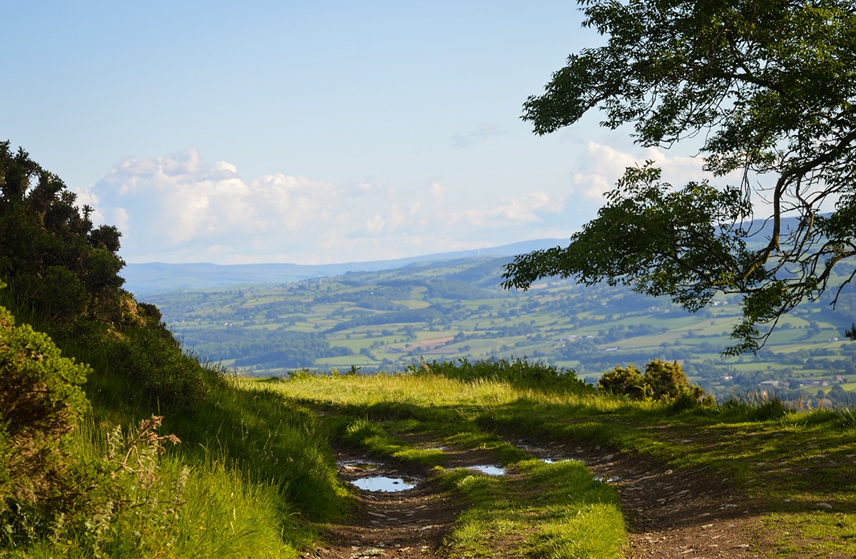 Best Places to go Mountain Biking in North Wales