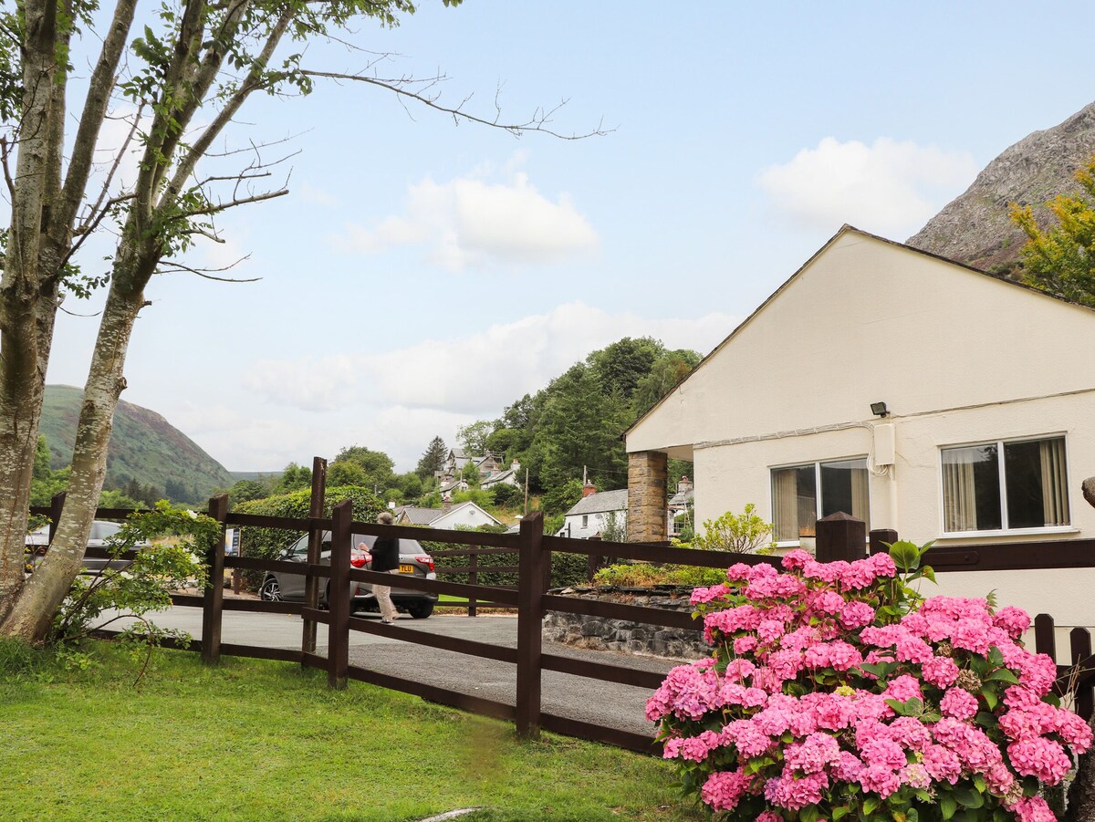 holiday cottage in north wales for rent