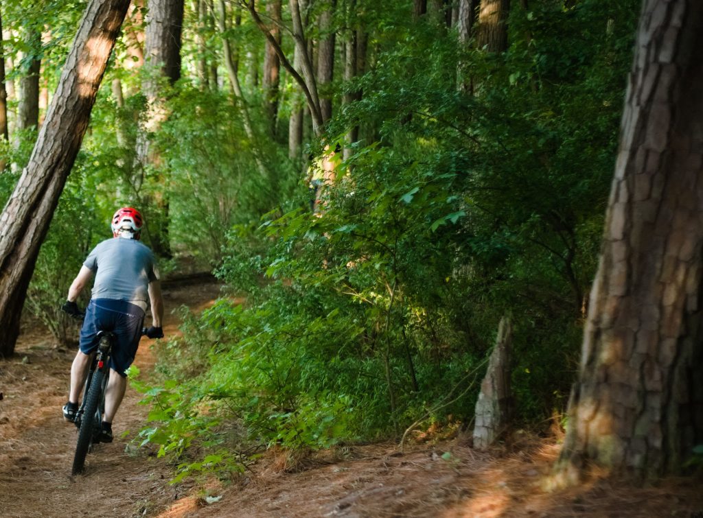 mountain-biking-forest-wales mountain biking forest wales